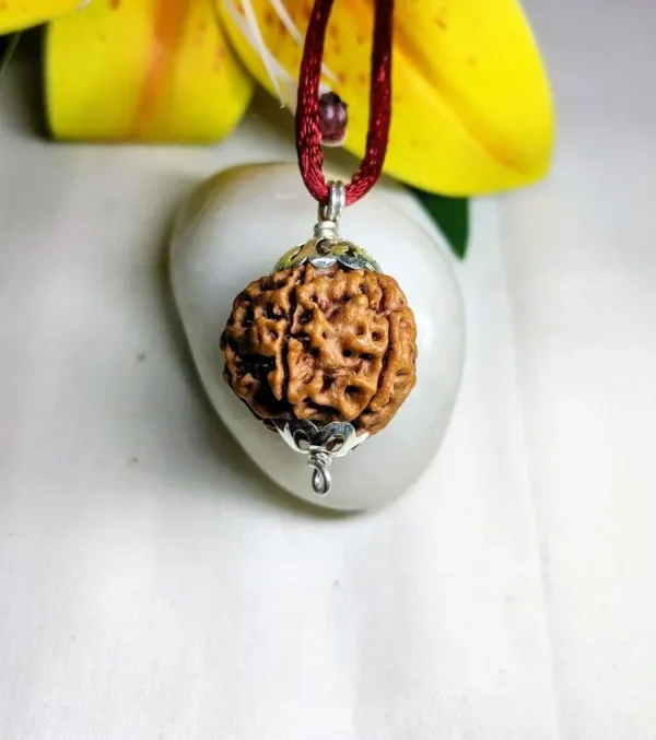 6 Mukhi Rudraksha