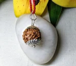 6 Mukhi Rudraksha