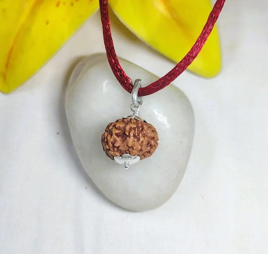 6 Mukhi Rudraksha