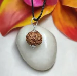 6 Mukhi Rudraksha