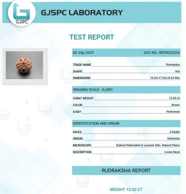 6 Mukhi Certificate