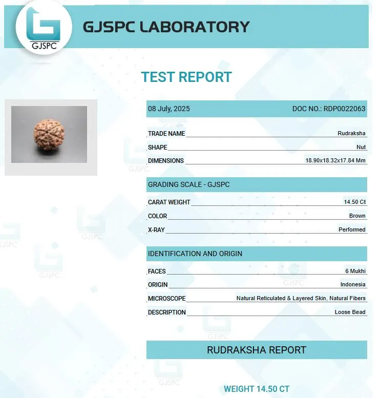 6 Mukhi Certificate