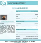 6 Mukhi Certificate