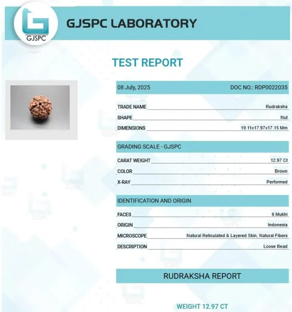 6 Mukhi Certificate