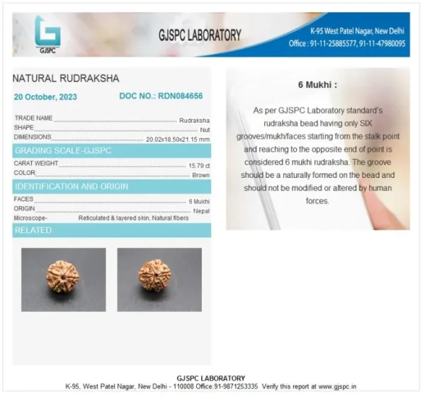 6 Mukhi Certificate