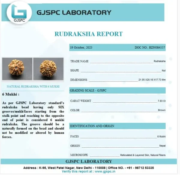 6 Mukhi Certificate
