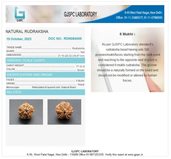 6 Mukhi Certificate