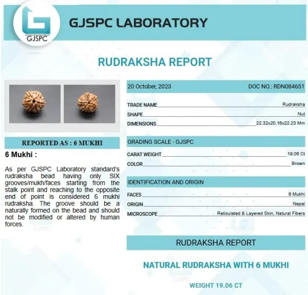 6 Mukhi Certificate