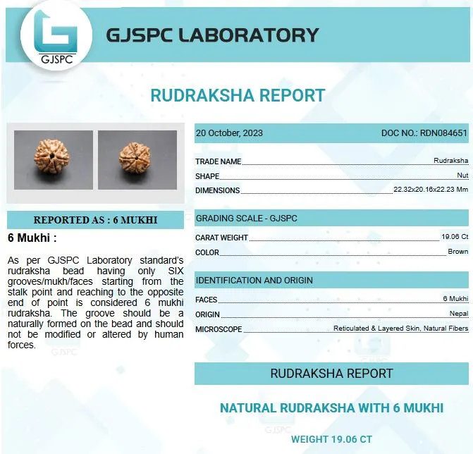 6 Mukhi Certificate