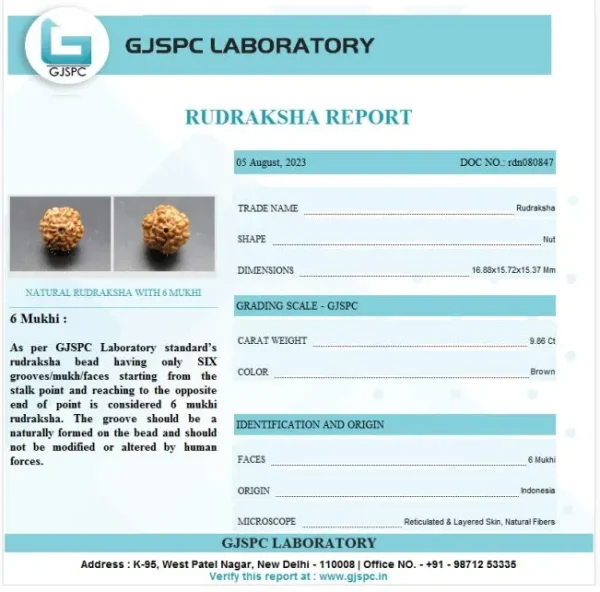 6 Mukhi Certificate