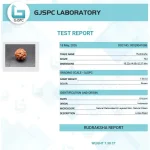 6 Mukhi Certificate