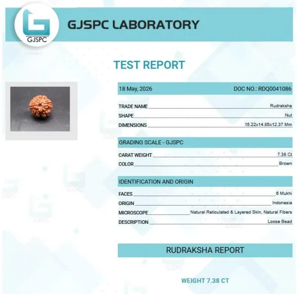 6 Mukhi Certificate