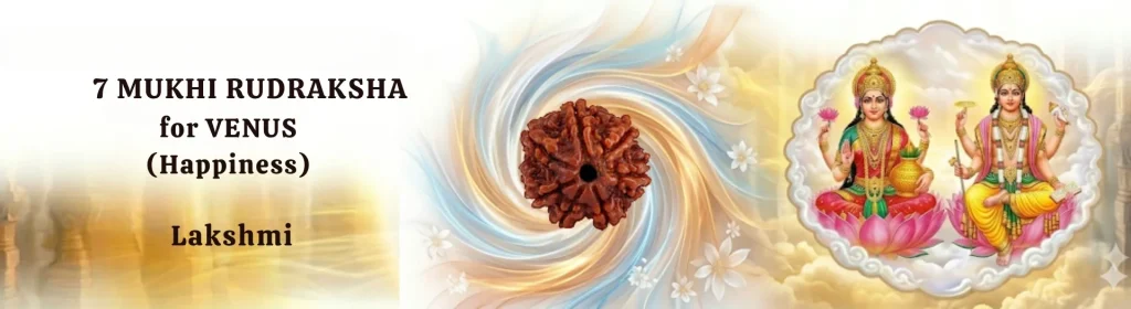 7 MUKHI RUDRAKSHA
