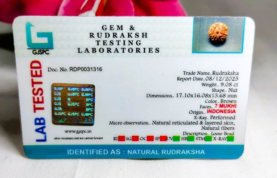 7 Mukhi Certificate