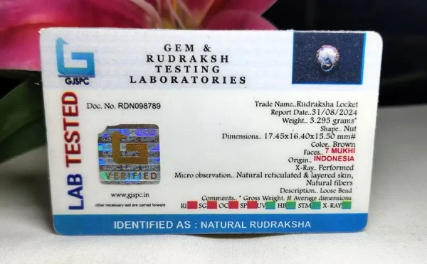 7 Mukhi Certificate