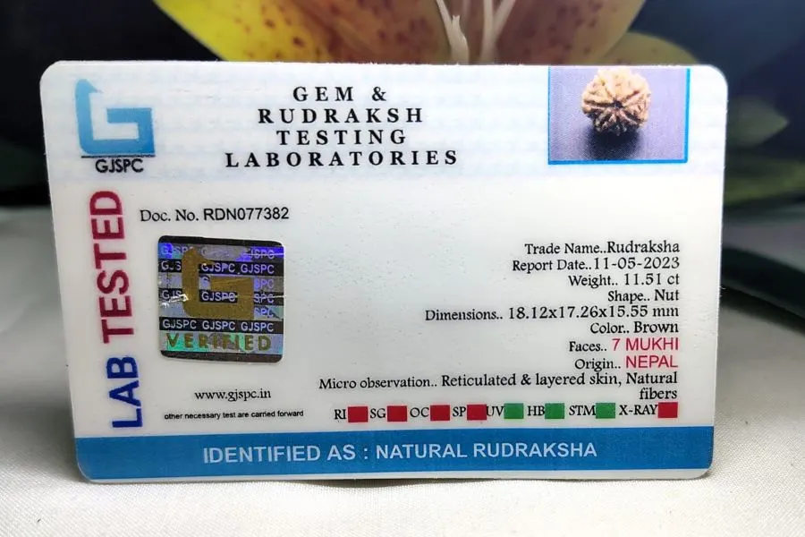 7 Mukhi Certificate