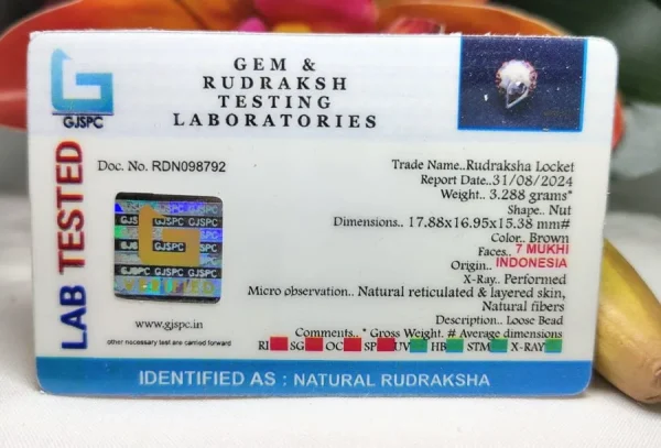 7 Mukhi Certificate