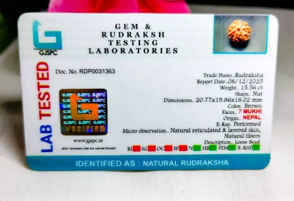 7 Mukhi Certificate
