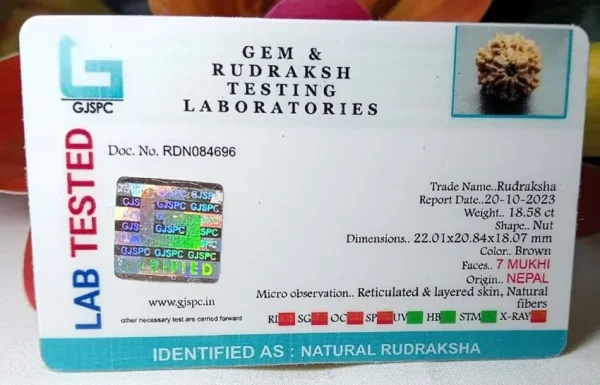 7 Mukhi Certificate