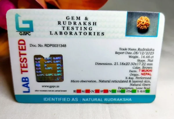 7 Mukhi Certificate