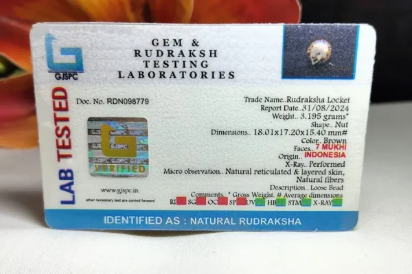 7 Mukhi Certificate