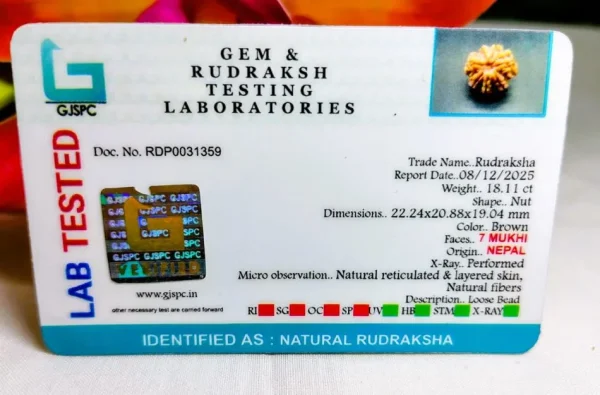 7 Mukhi Certificate