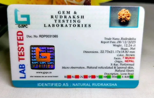 7 Mukhi Certificate