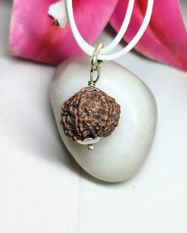 7 Mukhi Rudraksha