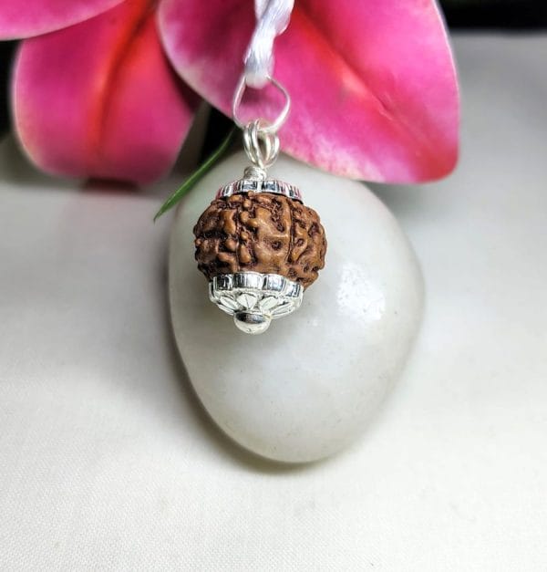 7 Mukhi Rudraksha