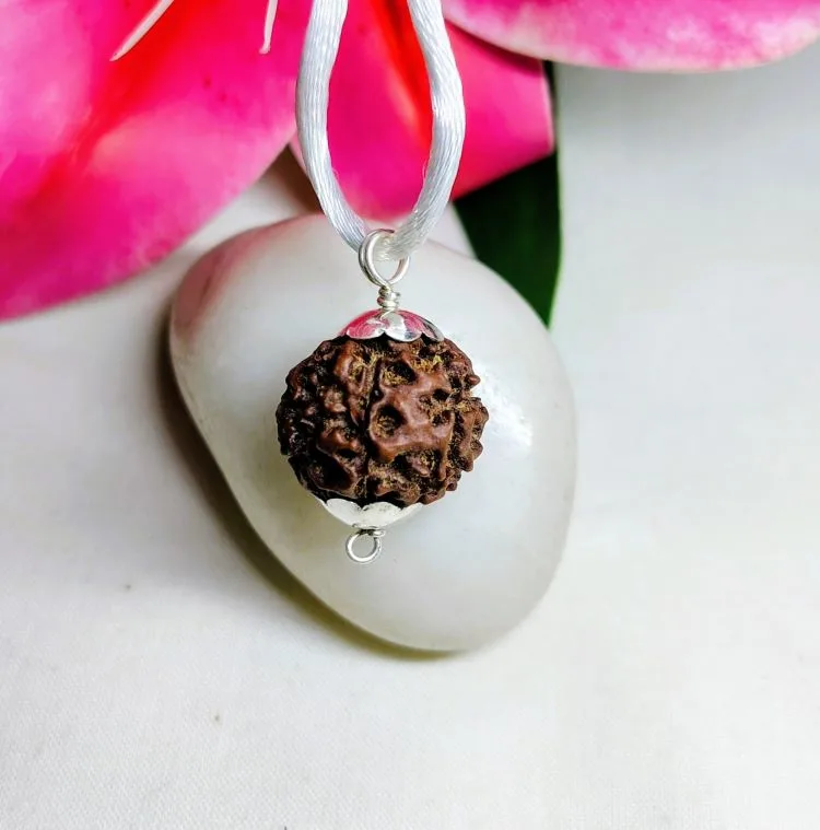 7 Mukhi Rudraksha