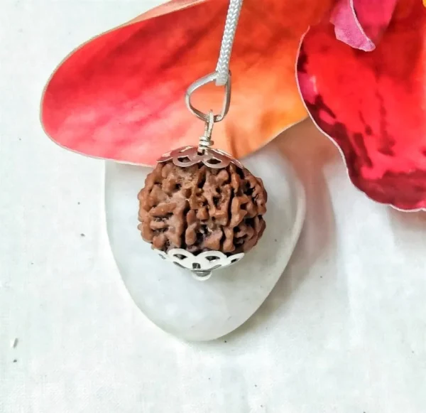 7 Mukhi Rudraksha