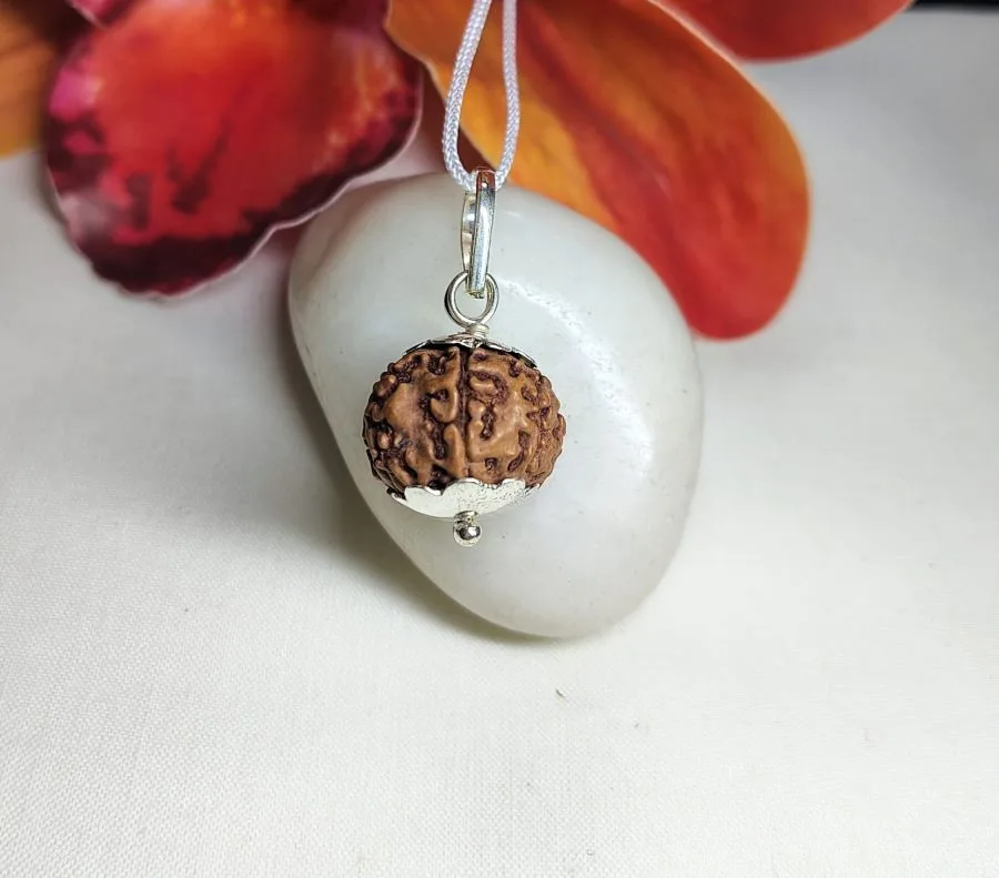 7 Mukhi Rudraksha
