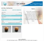 7 Mukhi Certificate