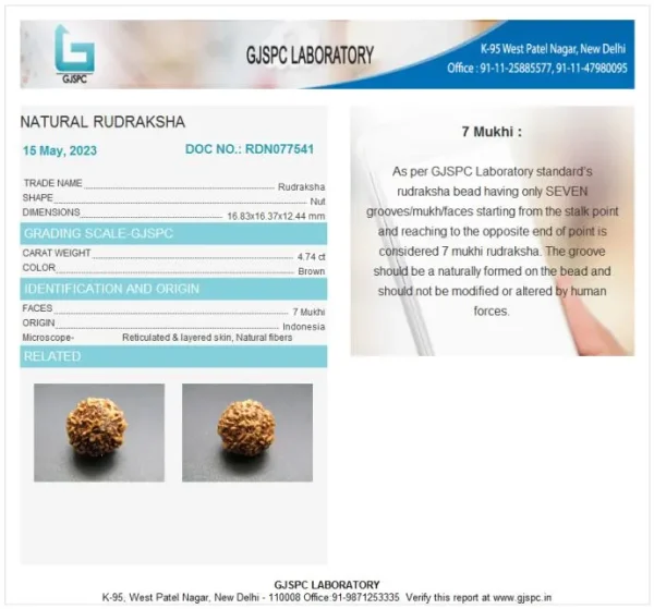 7 Mukhi Certificate
