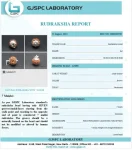 7 Mukhi Certificate