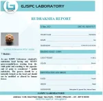 7 Mukhi Certificate