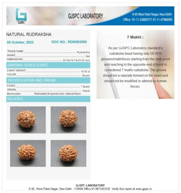 7 Mukhi Certificate