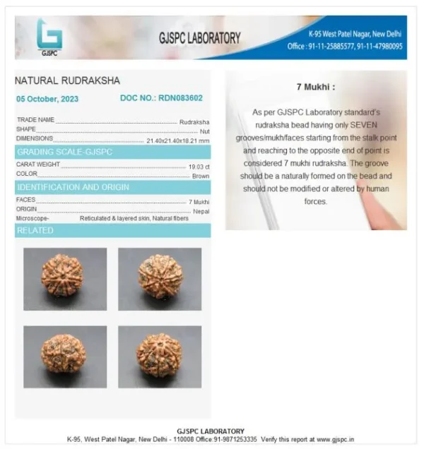 7 Mukhi Certificate