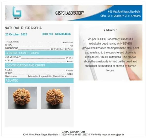 7 Mukhi Certificate