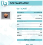 7 Mukhi Certificate