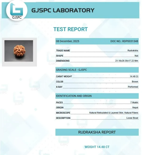 7 Mukhi Certificate