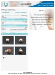 7 Mukhi Certificate