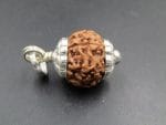 7 Mukhi Rudraksha