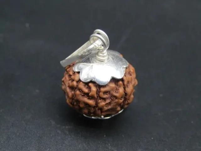 7 Mukhi Rudraksha