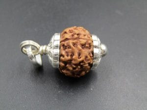 7 Mukhi Rudraksha