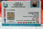 7 Mukhi Certificate
