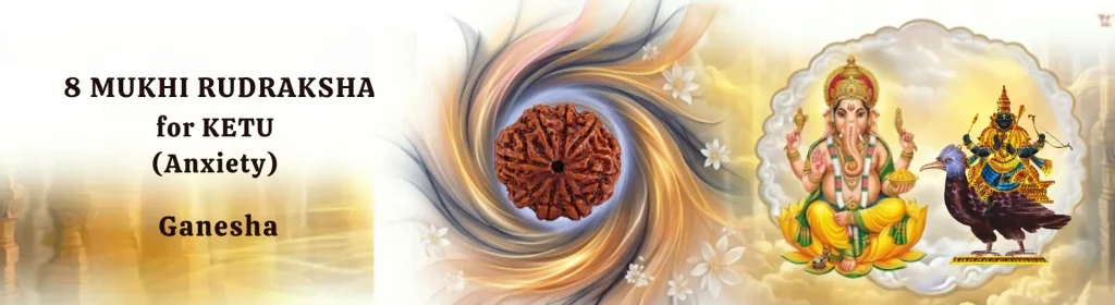8 MUKHI RUDRAKSHA banner