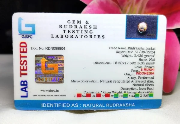 8 Mukhi Certificate