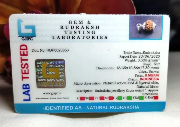 8 Mukhi Certificate