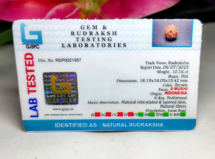 8 Mukhi Certificate